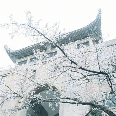南京中国科举博物馆：变化鱼龙地 飞翔鸾凤天